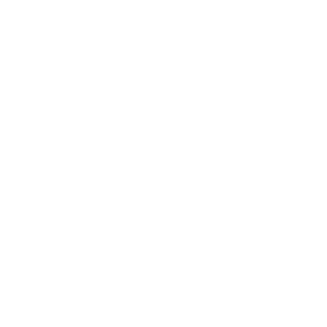 Diary of a CEO
